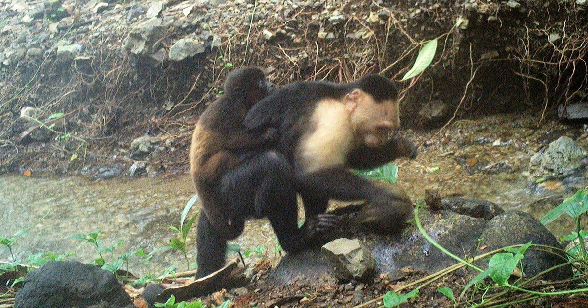 Ap25136600419761.jpg