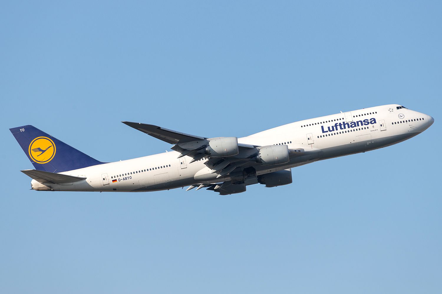 Lufthansa flight turbulence 030223 5 5eb86c54994b4473937be59e89eb7f7a.jpg